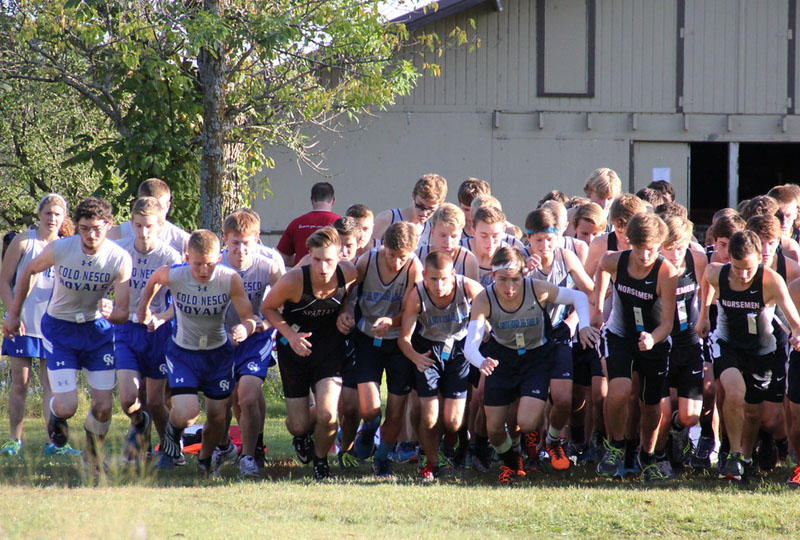 Panorama cross country teams show well at Greene County Invite