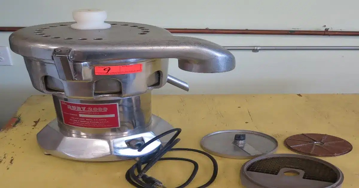 Top 15 Best Ruby Juicer Reviews & Comparison 2023