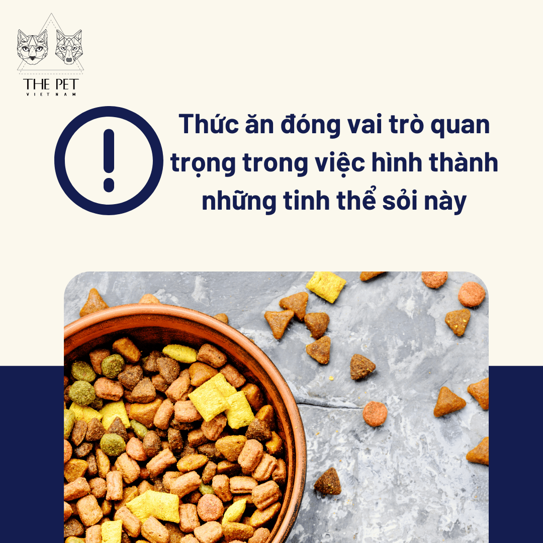 DESIGNED WET PET FOOD BY VETERINARIANS'