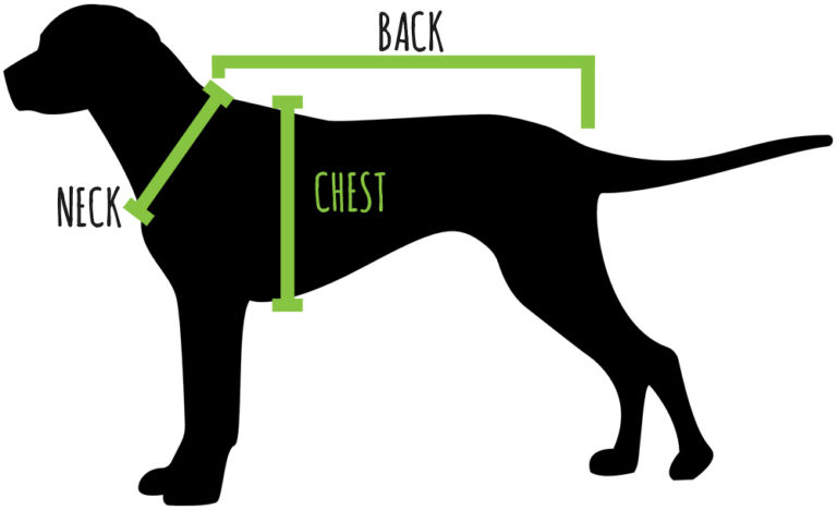 Pet Sizing Information — The Pet Bodega