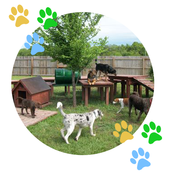 Dining The Pet Centre