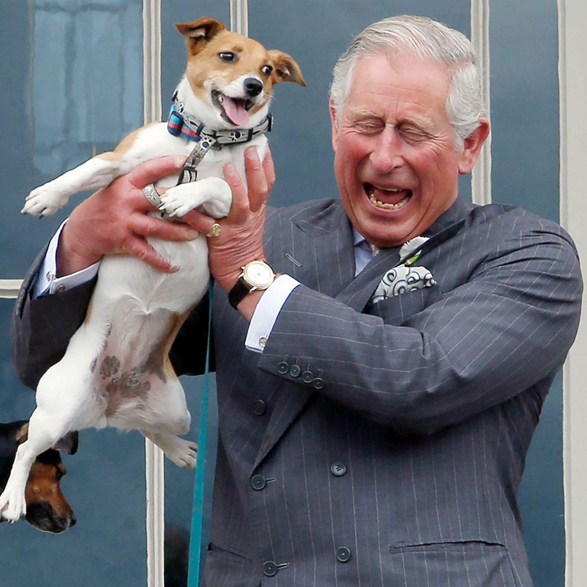 Meet Bluebell And Beth The New Dogs Who Will Move To Buckingham Palace