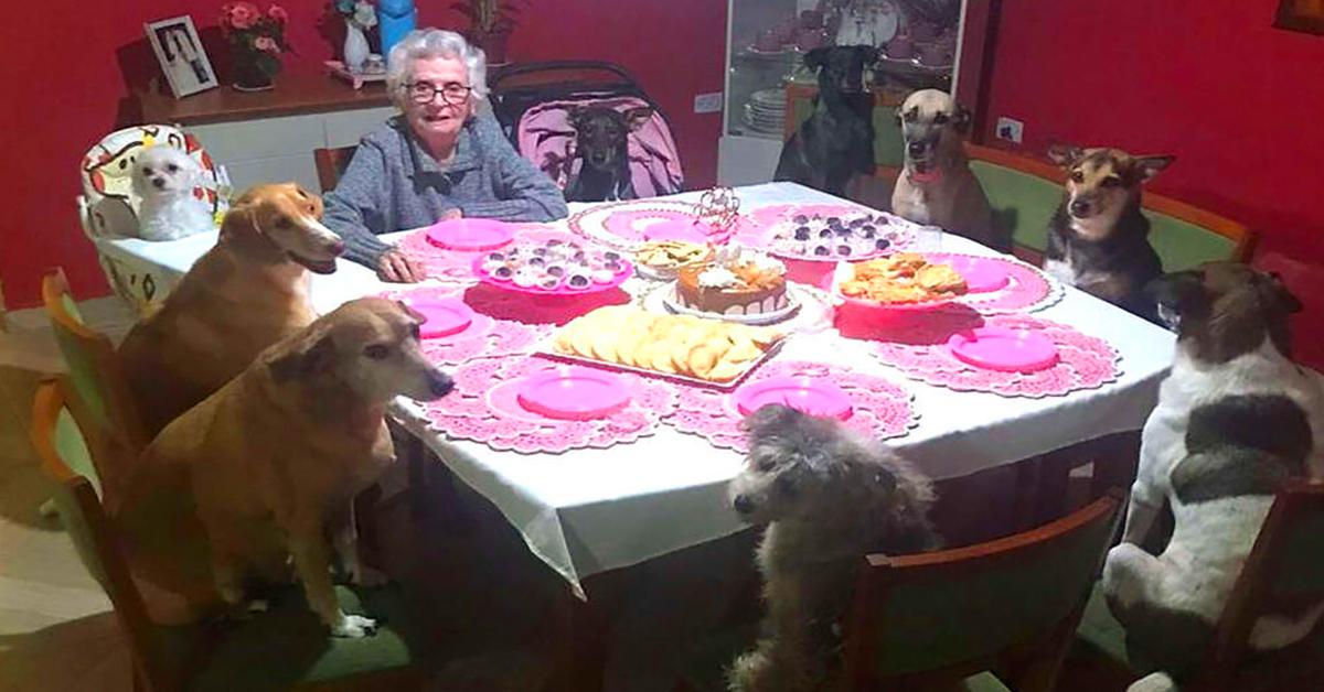 Dogs Celebrate The Most Adorable 89th Birthday Party For Grandma