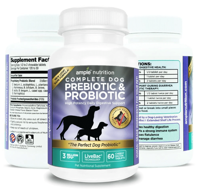 Probiotics For Dogs Benefits ThePetsAbout