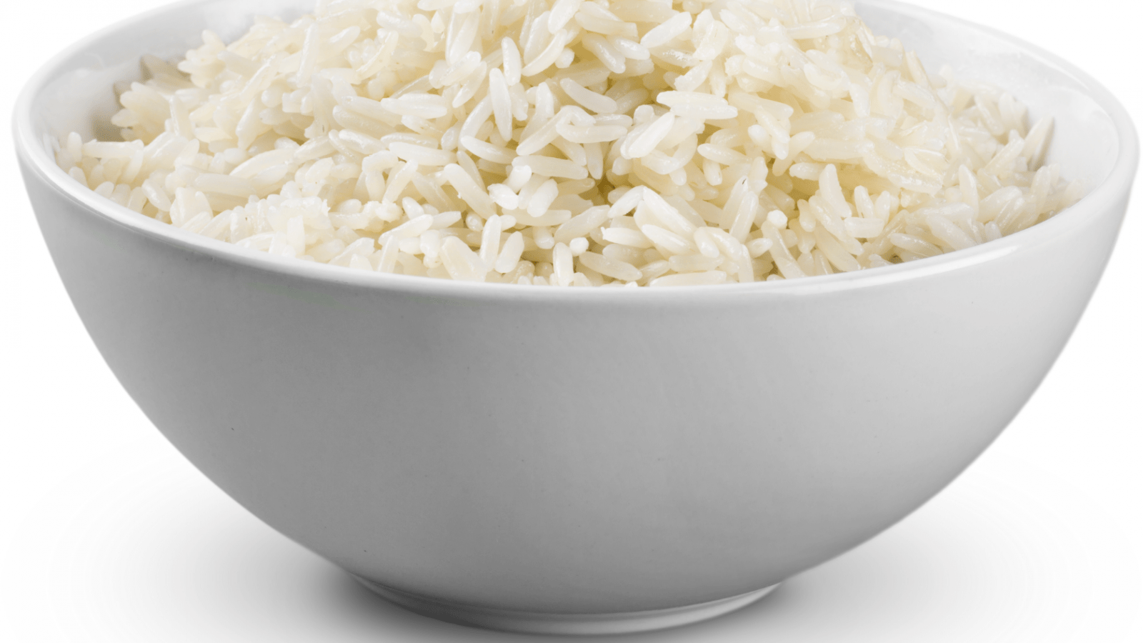 13 Foods that can help if your dog has diarrhea or vomiting