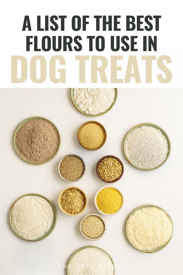 The best flours to use in your homemade dog treat recipes
