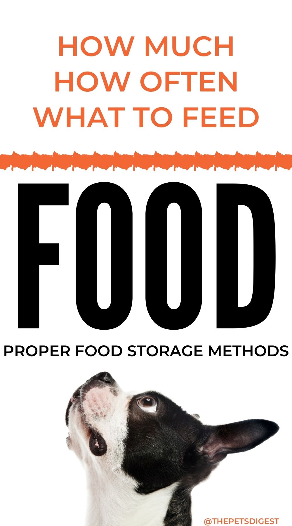 Choosing A Dog Food The Pets Digest