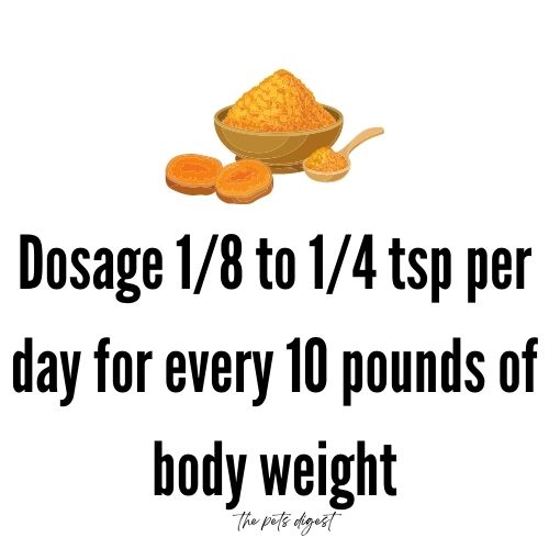 Turmeric for Dogs Benefits, Dangers, Uses Turmeric Recipe