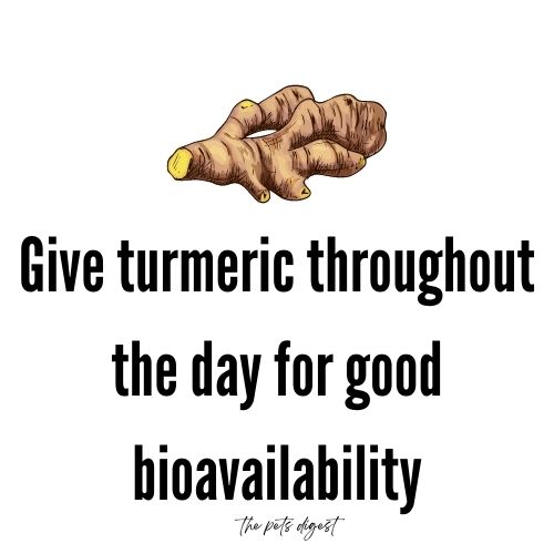 Turmeric for Dogs Benefits, Dangers, Uses Turmeric Recipe