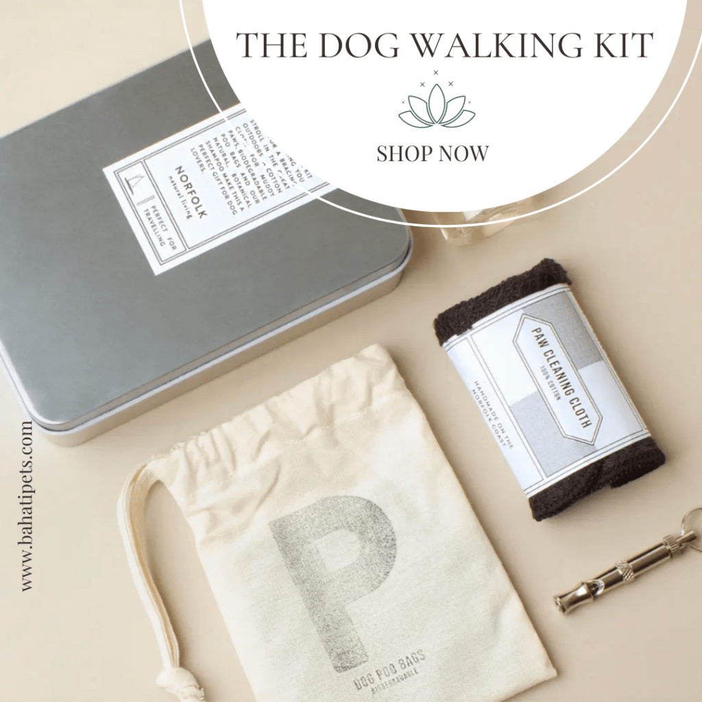 5 safe over the counter meds for vomiting & diarrhea in dogs