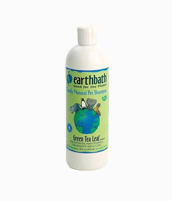 Earth Bath Green Tea With Awapuhi Shampoo, Green Tea Scent 16oz