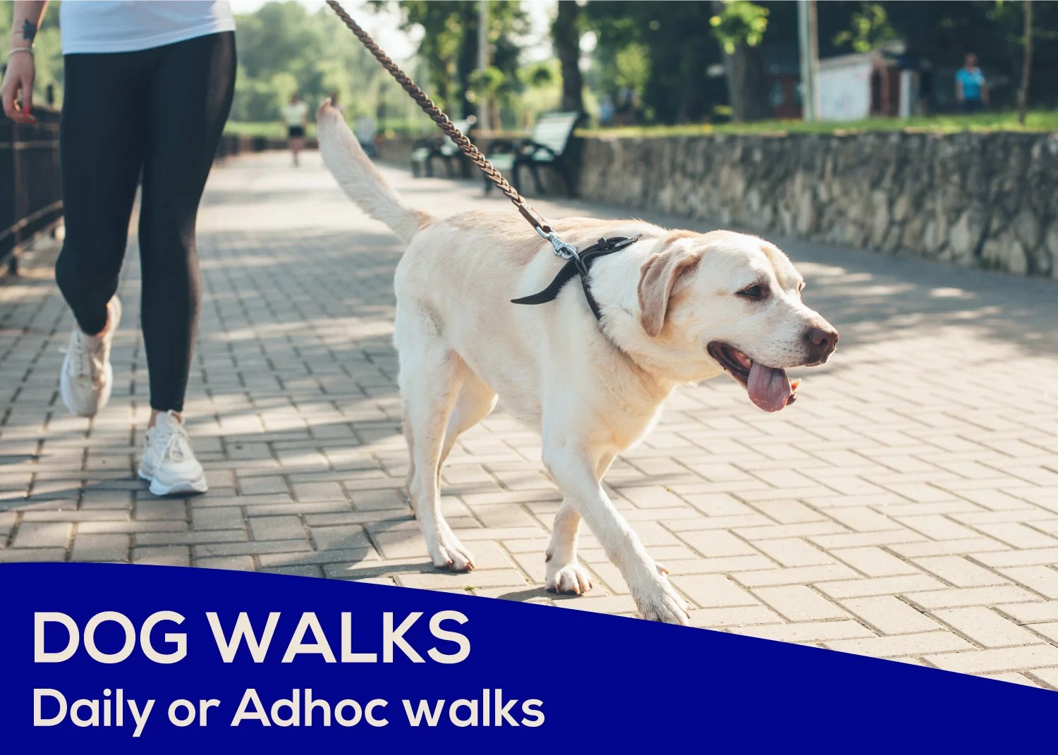 Best Pet Sitter Company in Dubai Dubai Municipality Approved Pet Sitters