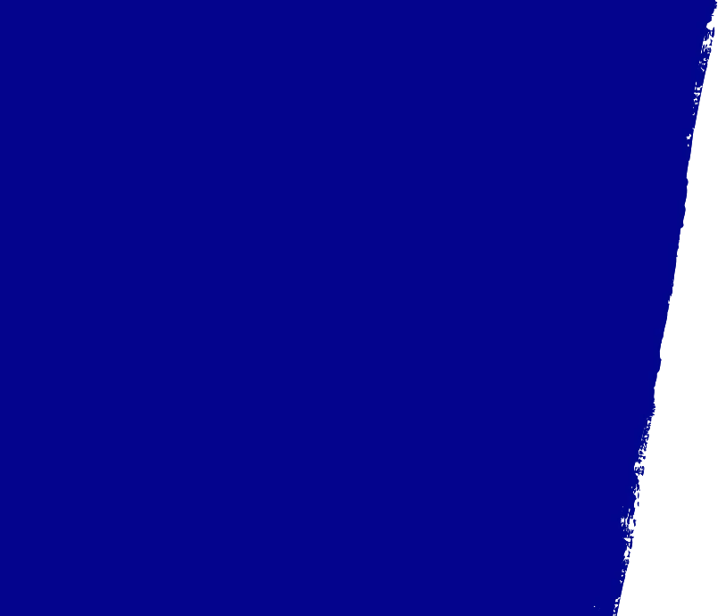 Best Pet Sitter Company in Dubai Dubai Municipality Approved Pet Sitters