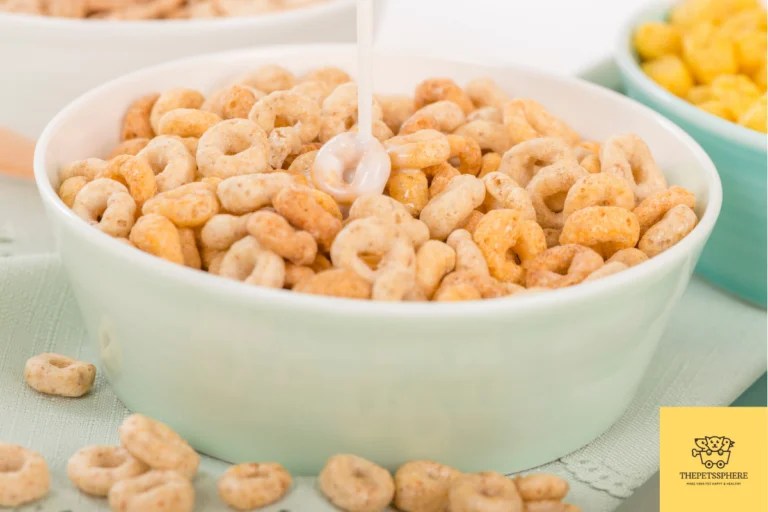 Can Cats Eat Cheerios? Homemade Recipe Included The Pet's Sphere