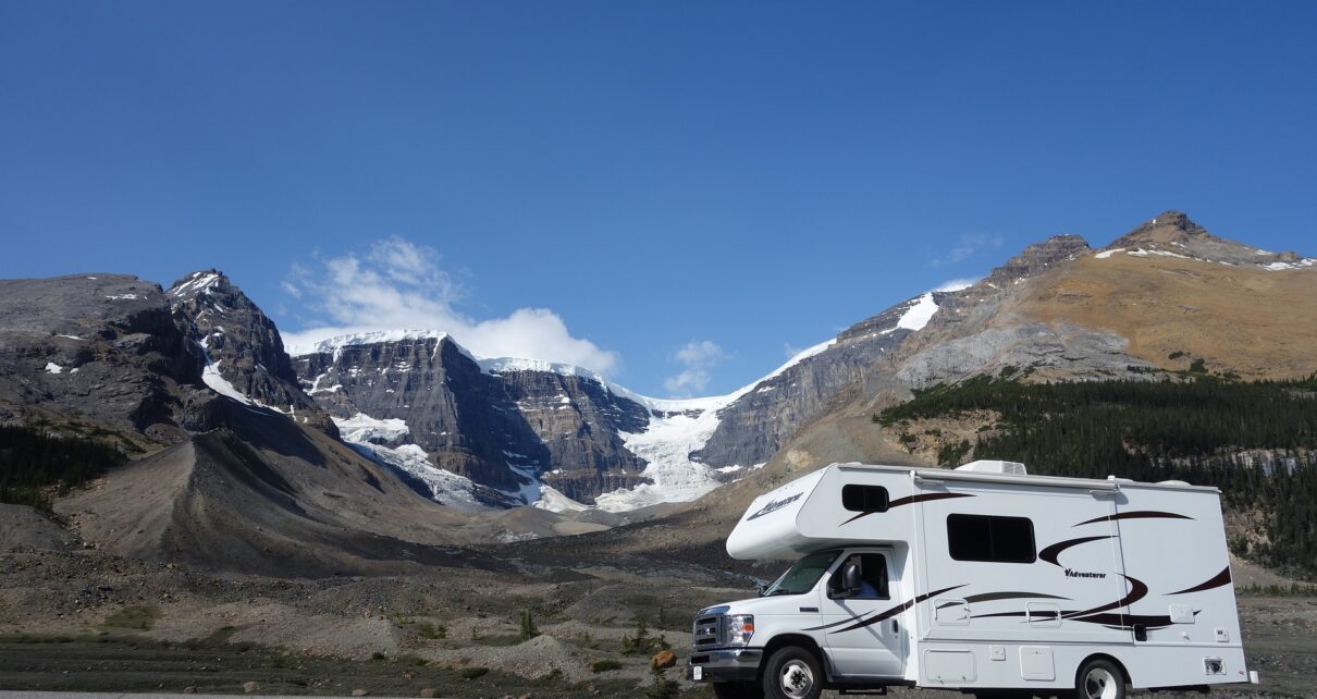 Best Dog Crate for RV The Pet Supply Guy