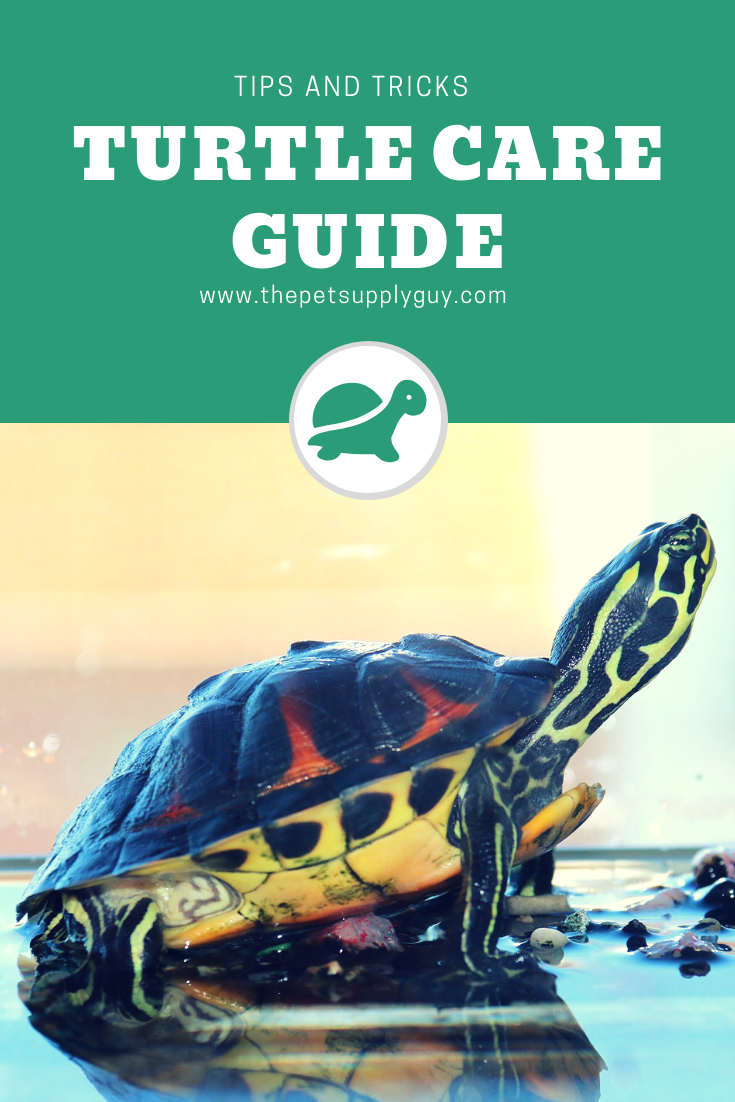 Turtle Tank Size Calculator The Pet Supply Guy