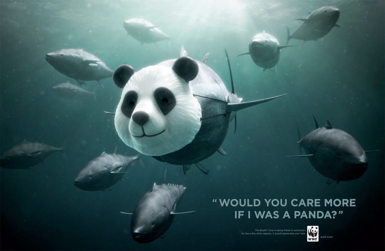 Top 5 Creative Animal Charity Campaigns The PHA Group PR