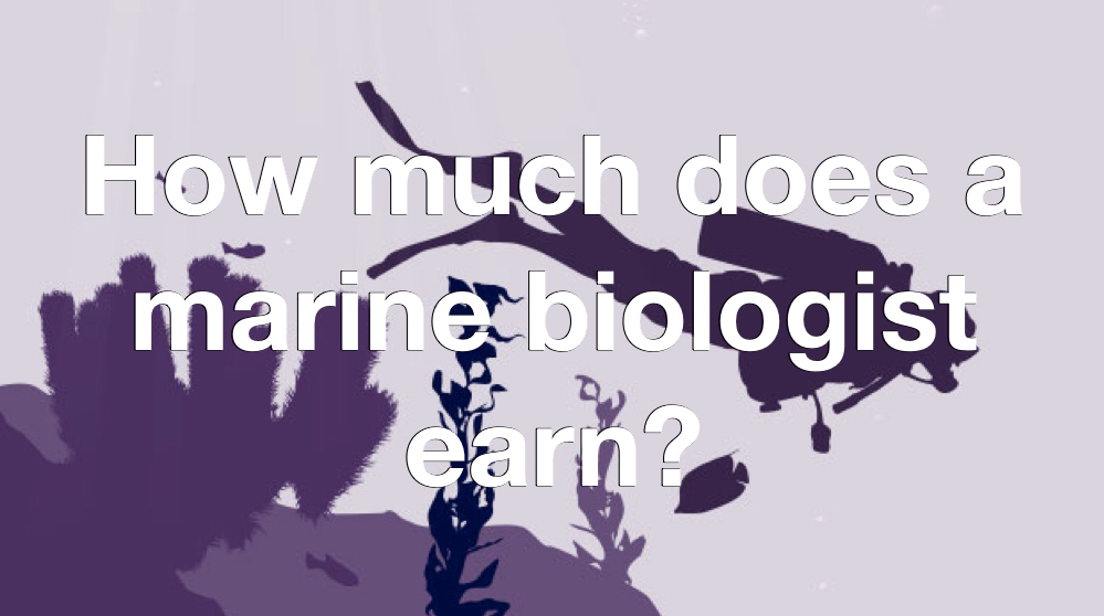 How to a Marine Biologist? Education, Jobs and Salary