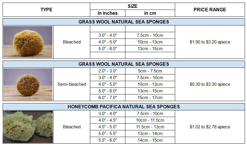 Bath Sponges The Philippine Sponge