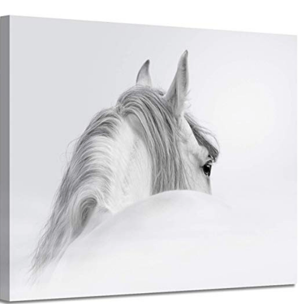 White Horse Canvas Wall Art ⋆ The Phoenix Filly