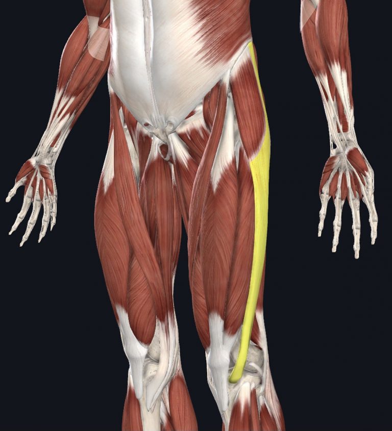 What is ITB Friction Syndrome? The Physios