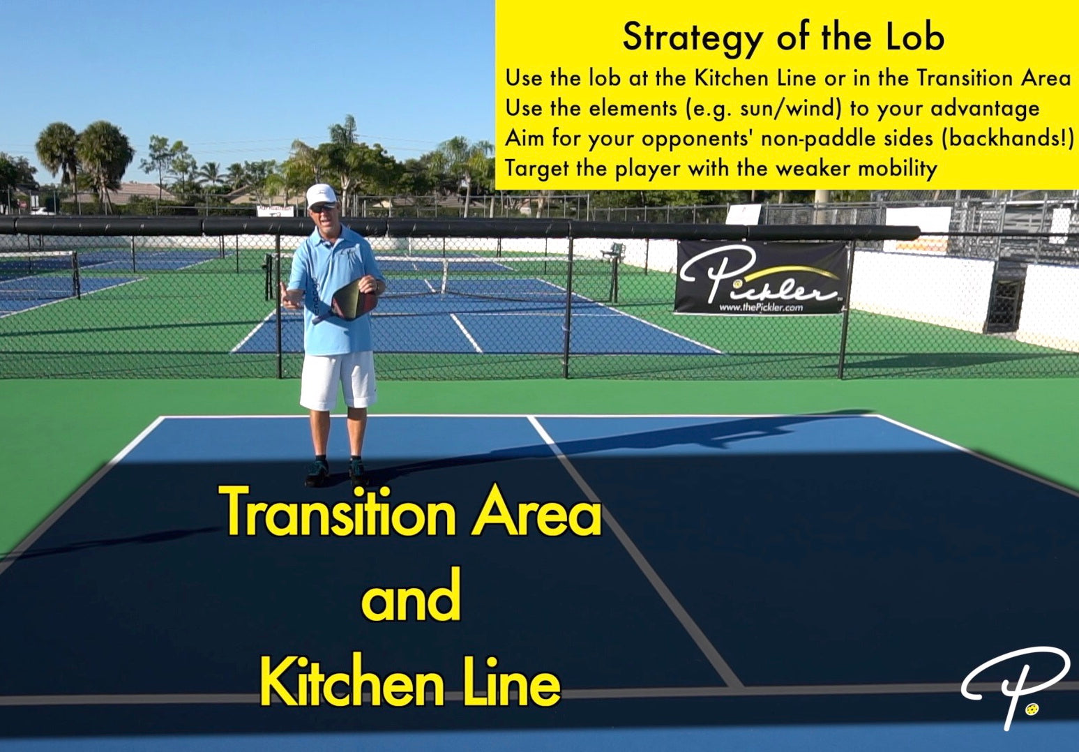 9 Tips to Hit the Perfect Lob on the Pickleball Court Pickler