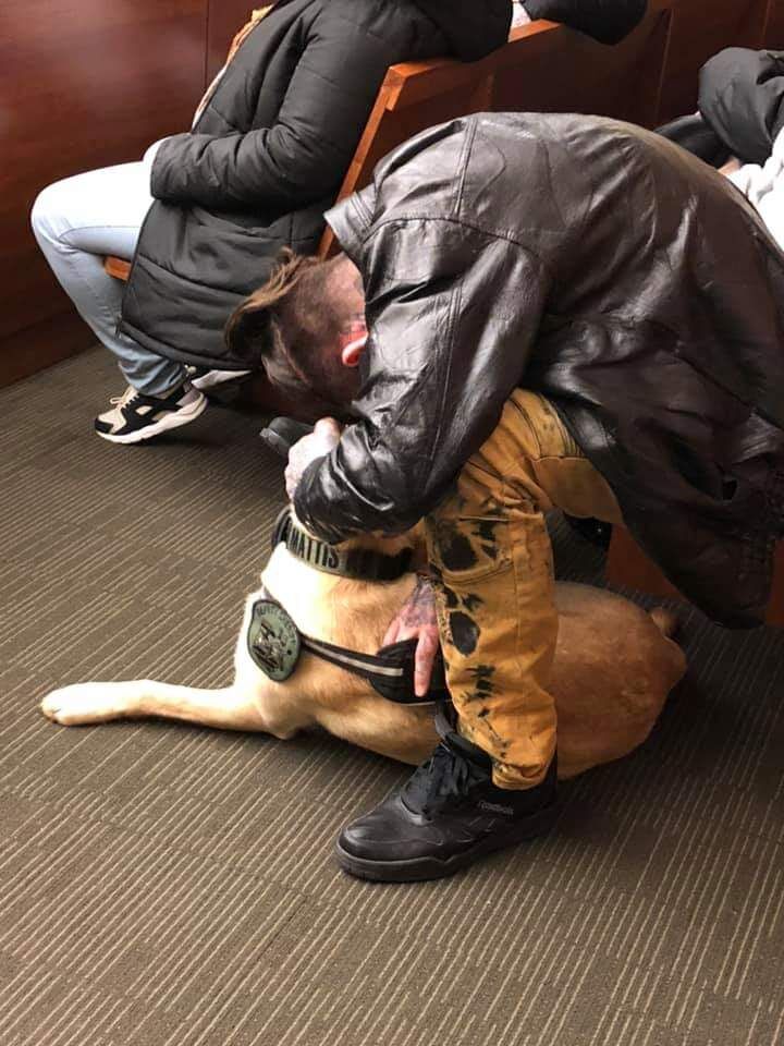 A New Breed of K9 in Law Enforcement The Pickles Project