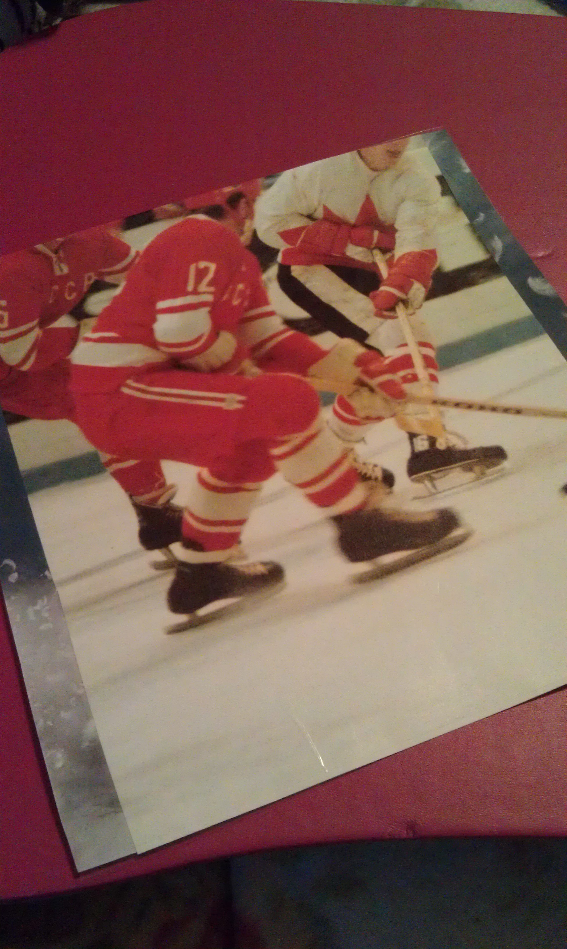 DIY Hockey Carry Pouch and Card Holder The Pink Puck