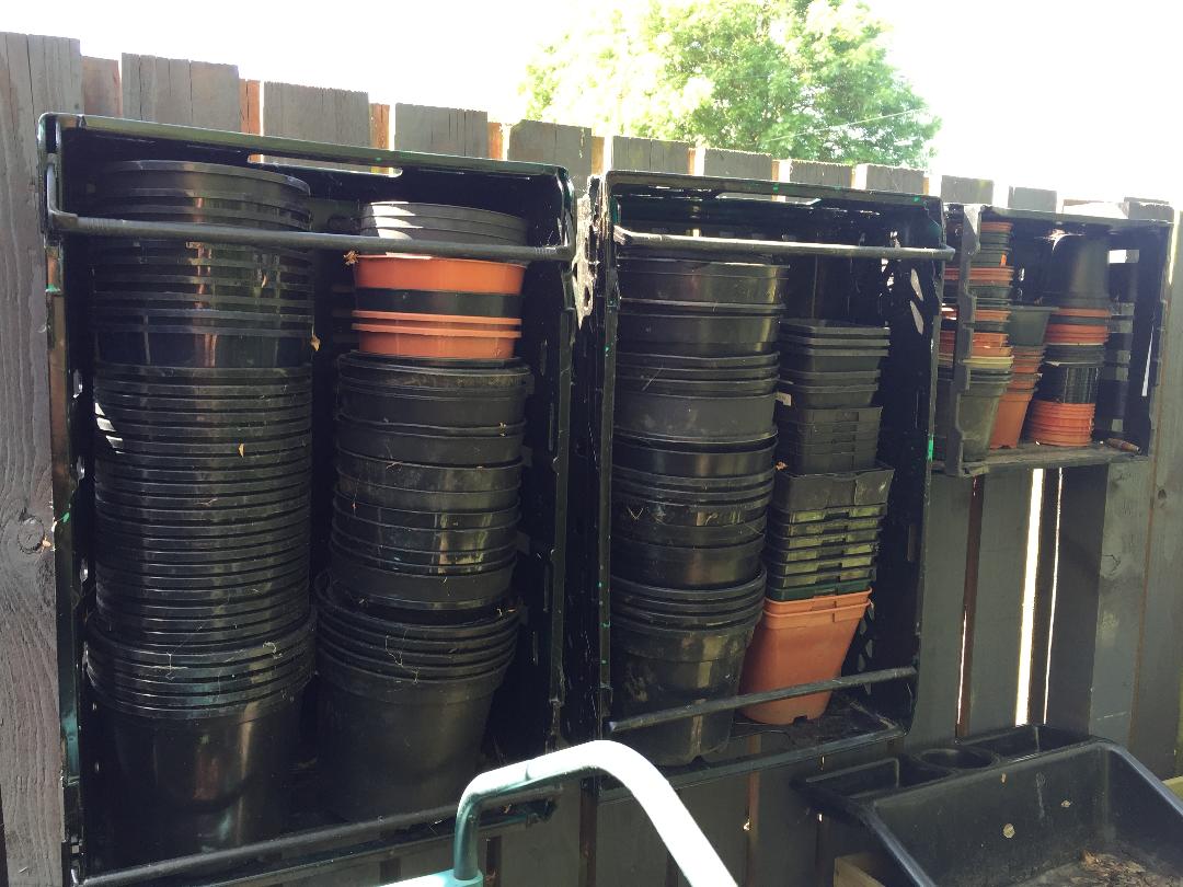 Going Potty The Pink Wheelbarrow