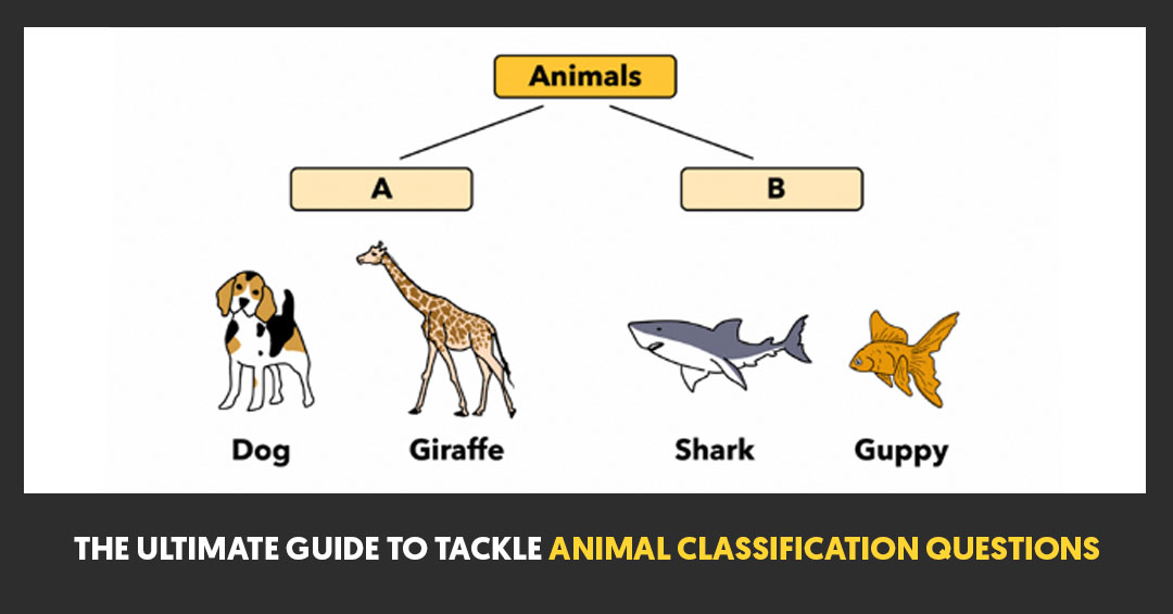 The Ultimate Guide To Tackle Animal Classification Questions