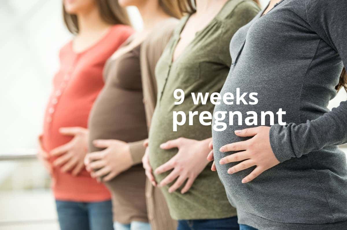 9 Weeks Pregnant Your Baby & You at 9 Weeks What to Expect