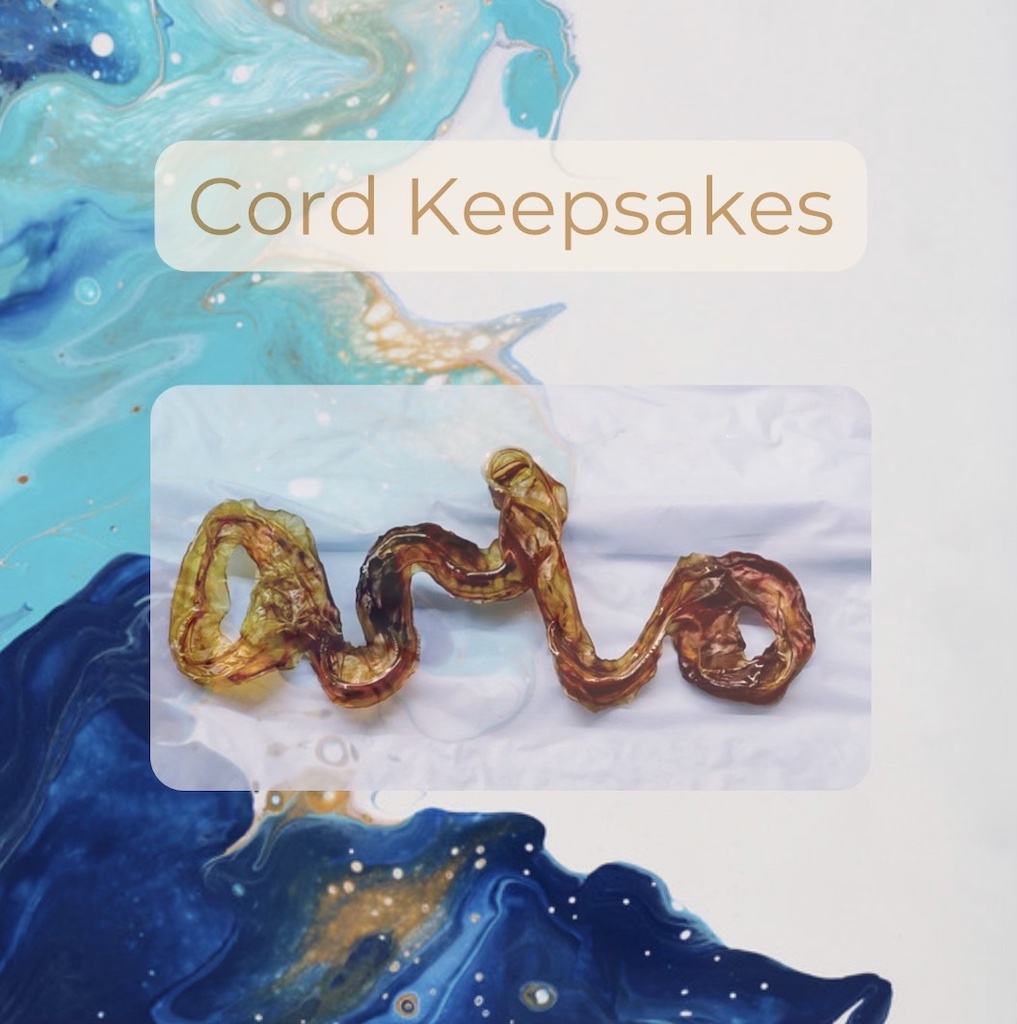 Dried Umbilical Cord Keepsake The Placenta Co.