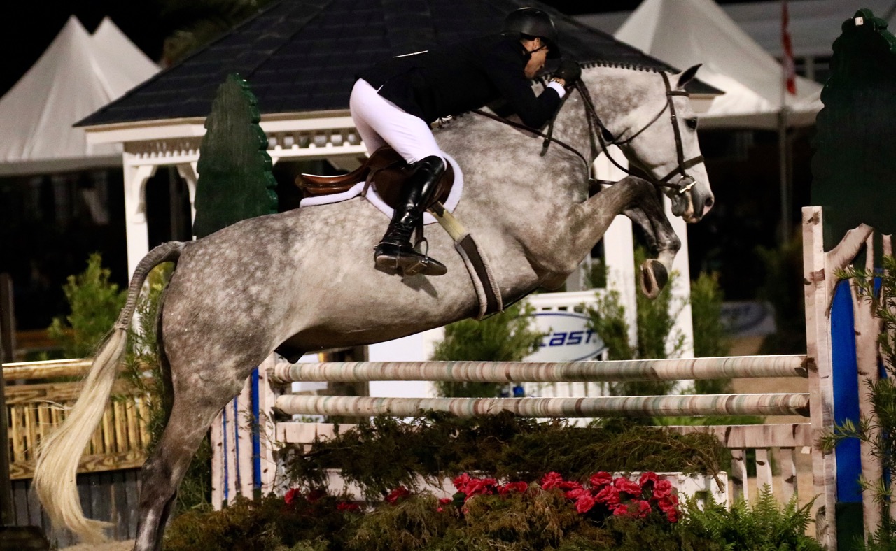 Catch Me Named 2016 USEF National Horse of the Year The Plaid Horse