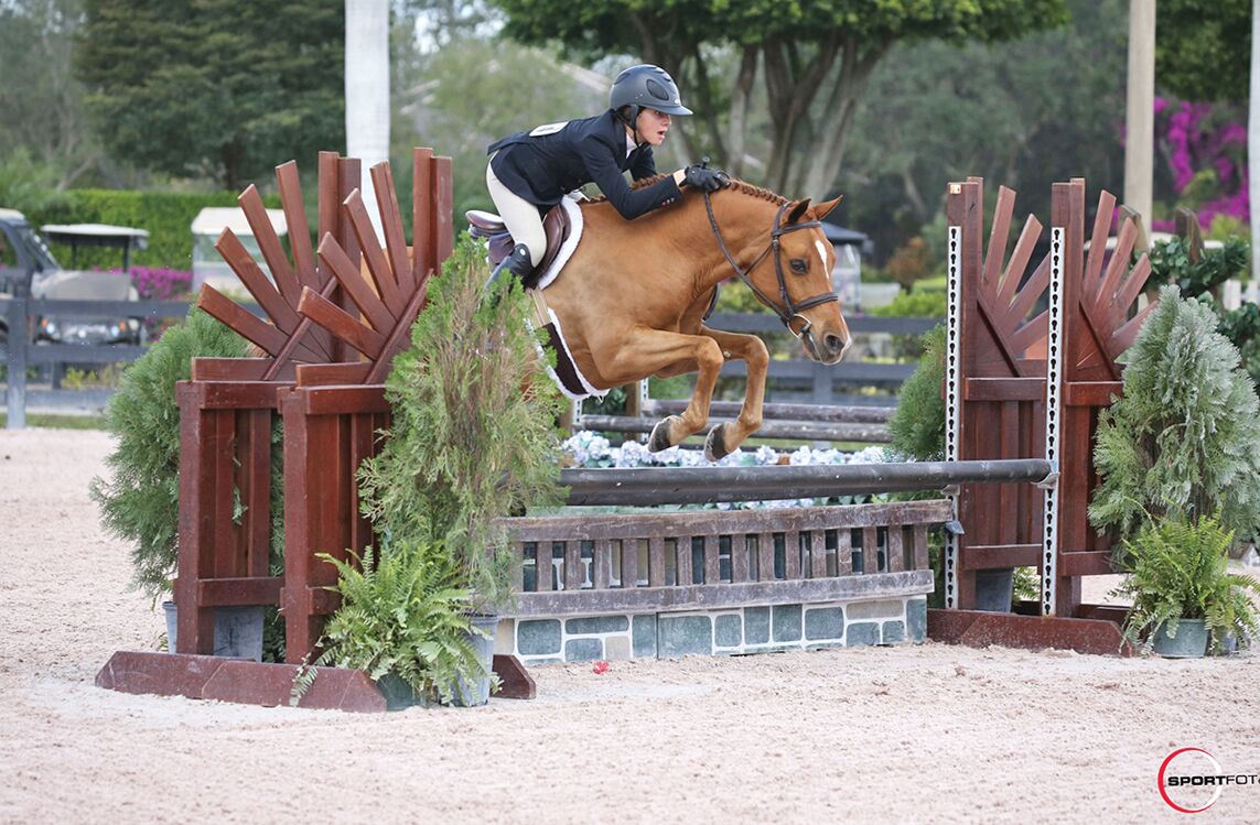 Partnerships In and Out of the Ring Pave Little Brook Farms’ Road to Success The Plaid Horse