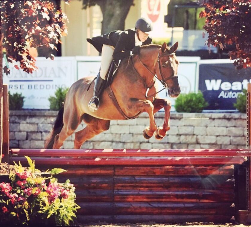 Impressive Results From an Inclusive Facility Millennium Farm Offers Something For Everyone