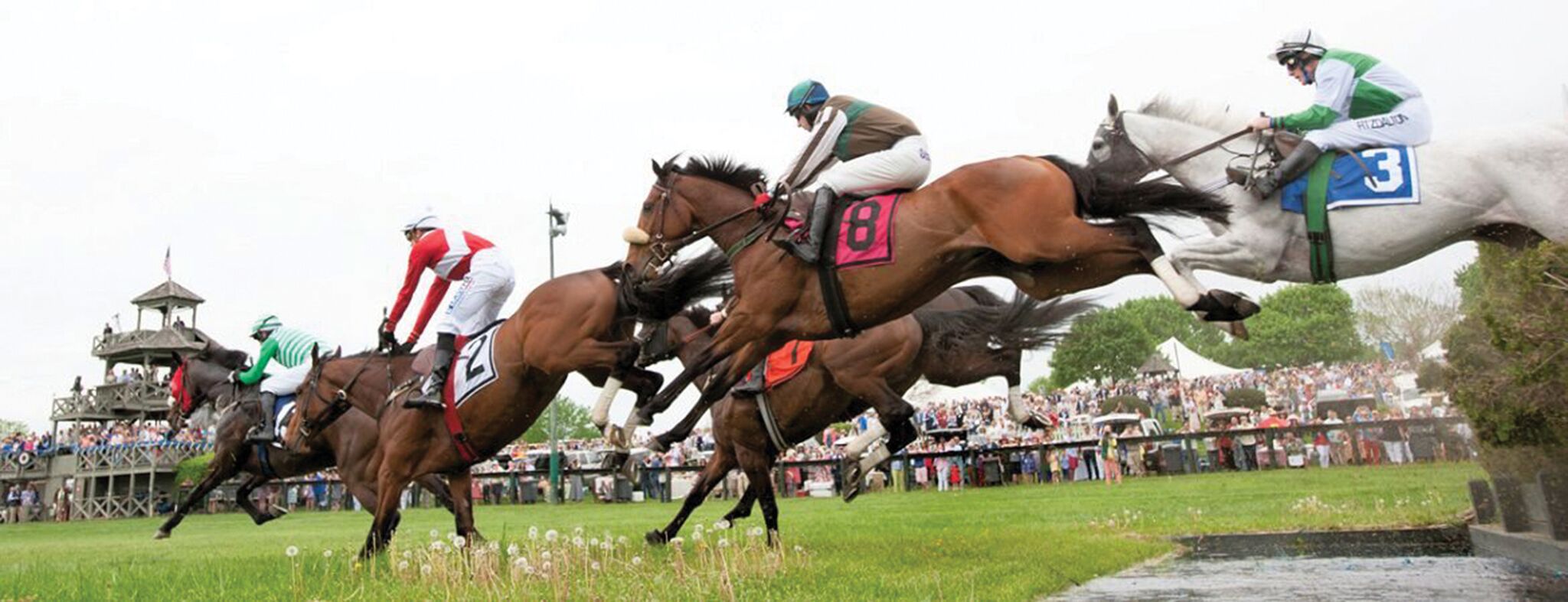 Jumping in Jockey Stirrups Steeplechase 101 The Plaid Horse Magazine