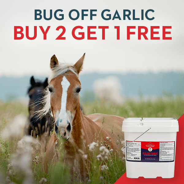 Let Springtime Supplements Help Keep the Bugs Off! The Plaid Horse