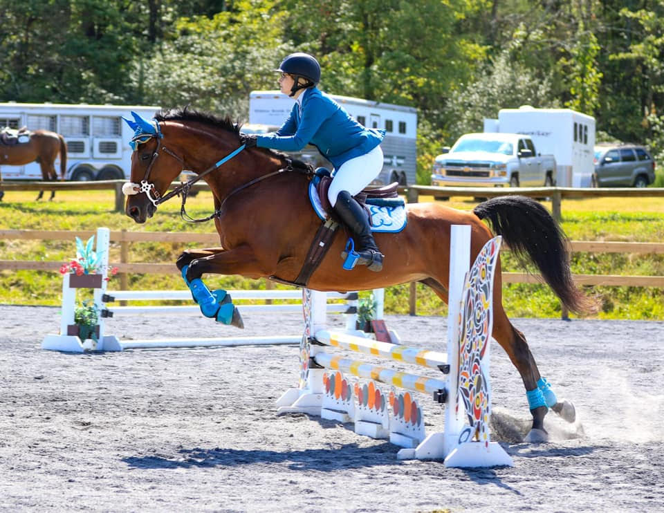 “Extra” Equestrians and the Marketplace for Colorful Horse Tack and