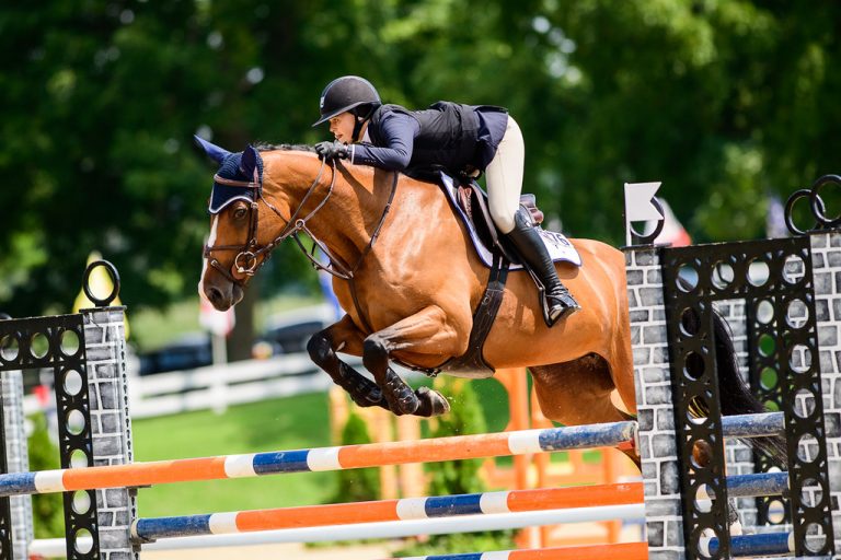 Questions to Ask Yourself if You're Afraid of Jumping The Plaid Horse