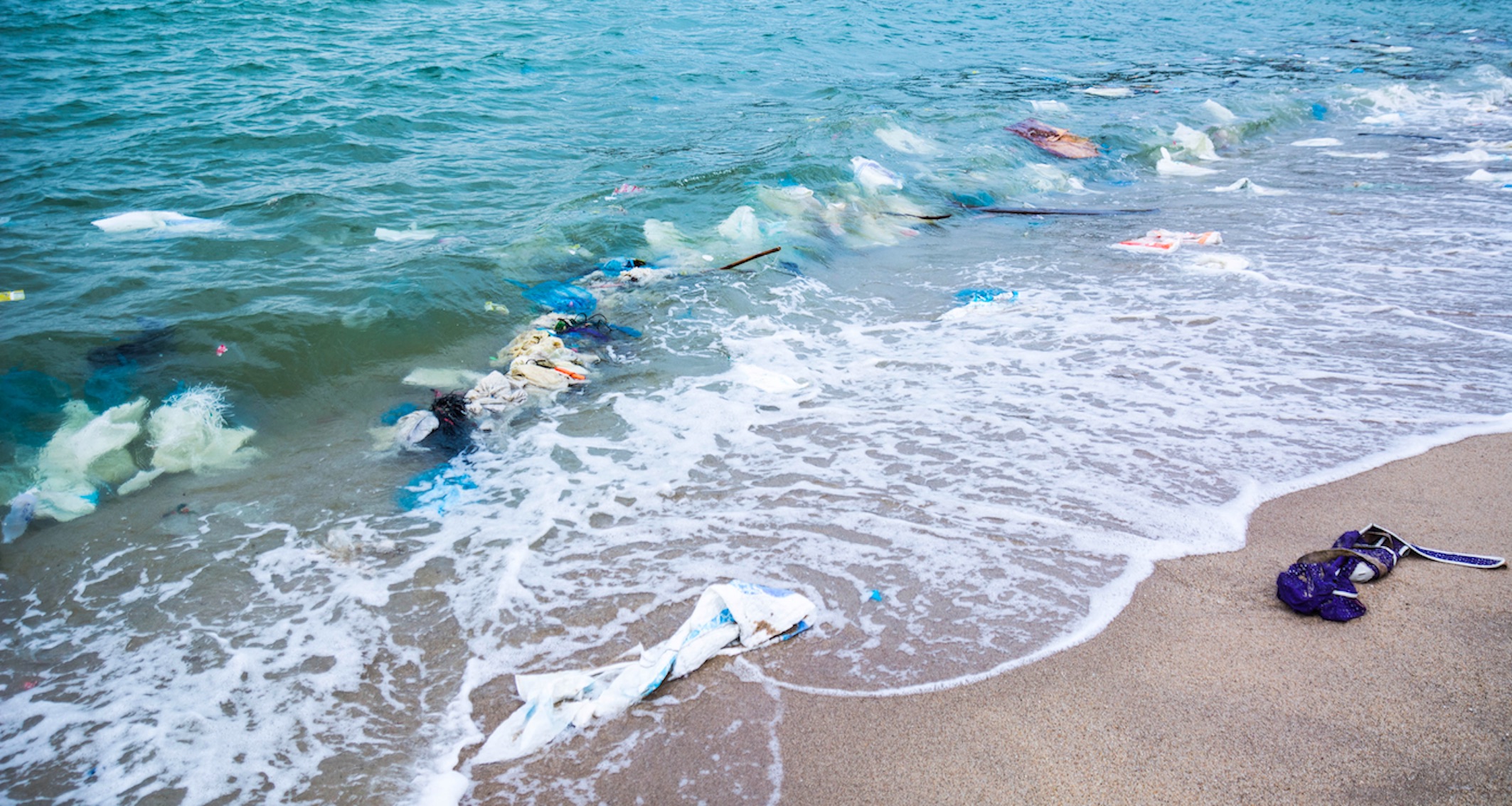 Plastic Bag Pollution