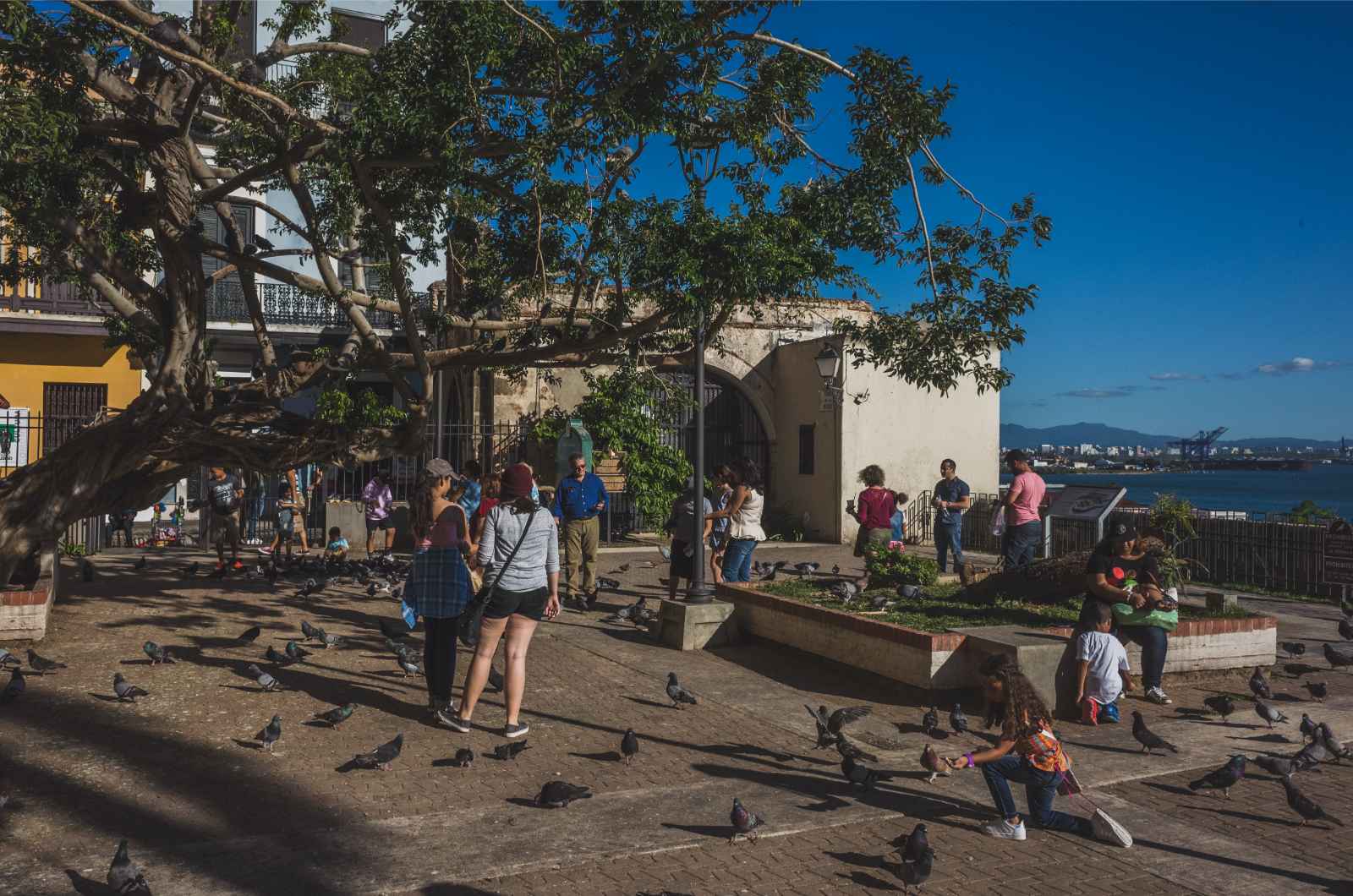 Is Puerto Rico Safe To Visit in 2024? Travel Warnings And Safety Tips