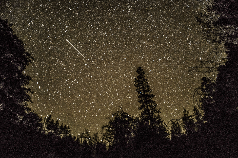 Perseid Meteor Shower 2022 When is it & other useful Facts