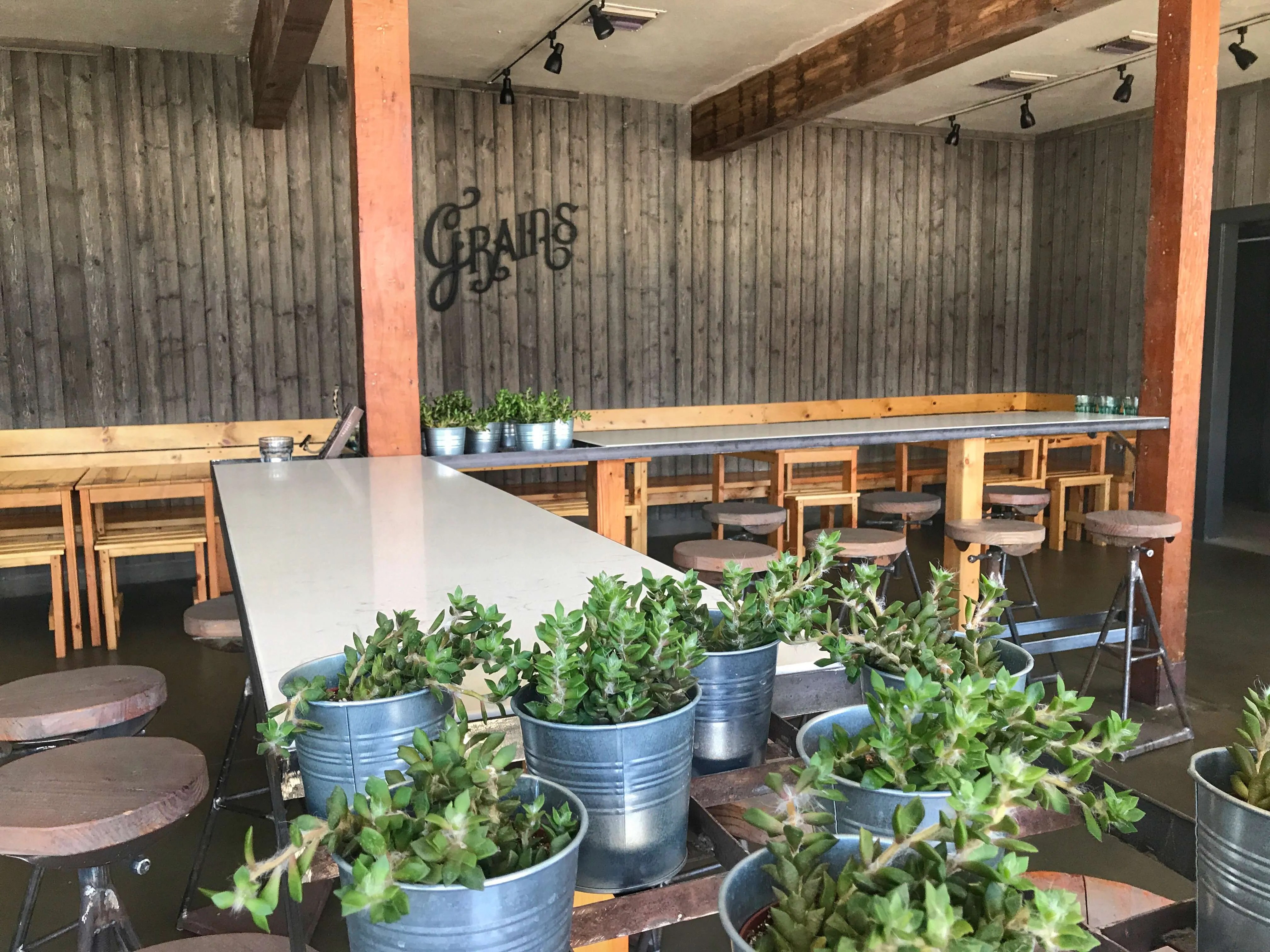 GrainsA MustVisit For PlantBased Food The PlantBased Diet