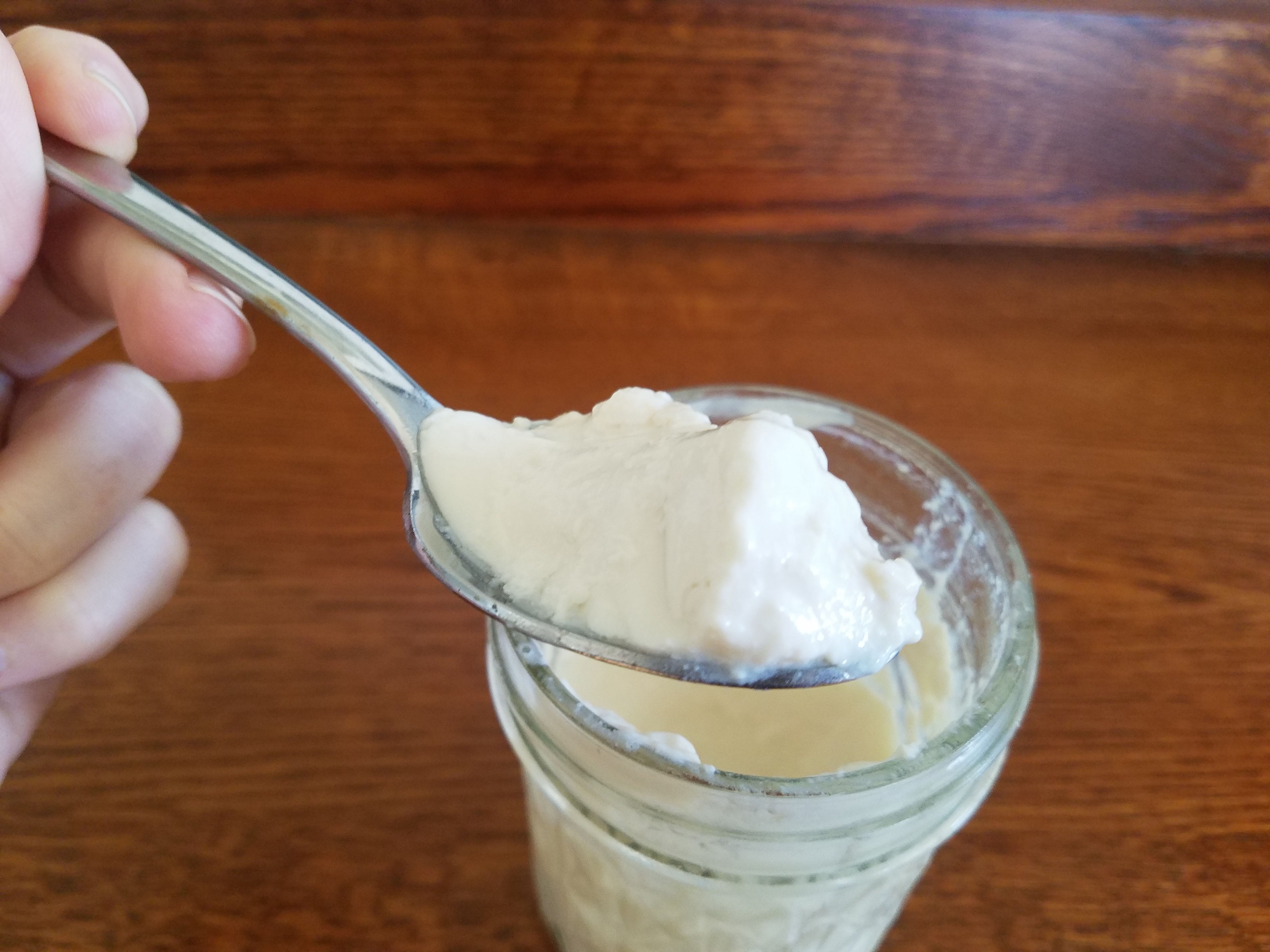 Stupidly Easy Homemade NonDairy Yogurt The Planted Runner