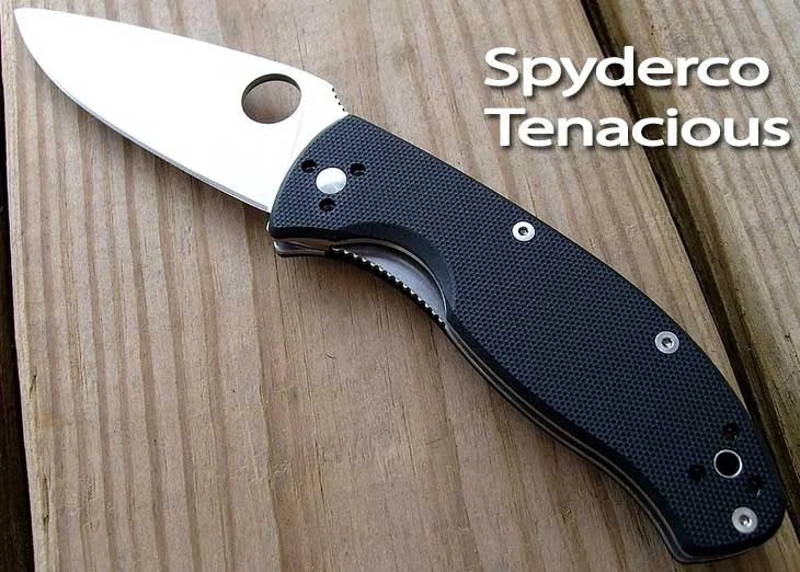 Spyderco Tenacious Review The Pocket Knife Guy