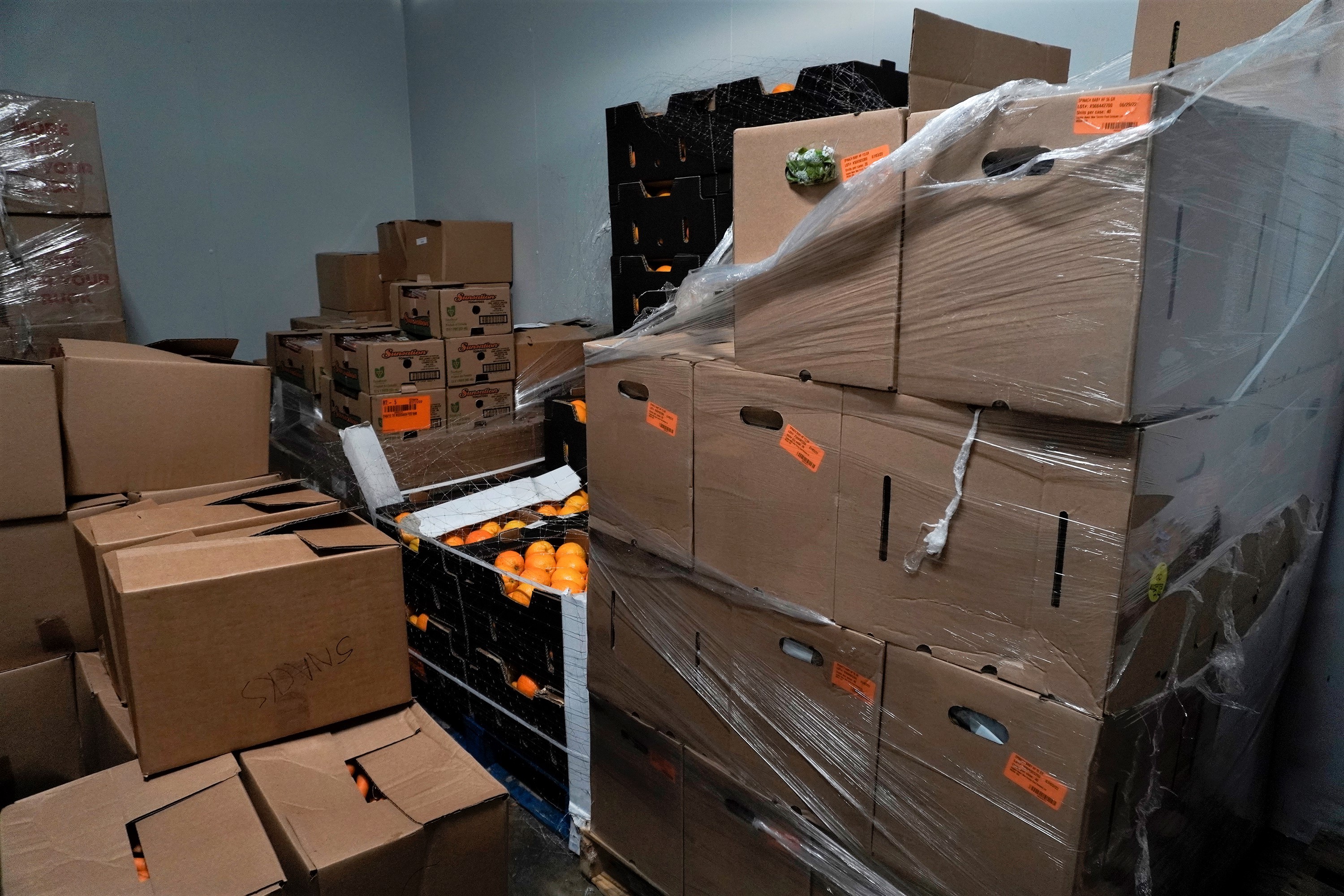 With volume up 400 in 8 years, Mississauga Food Bank in desperate need