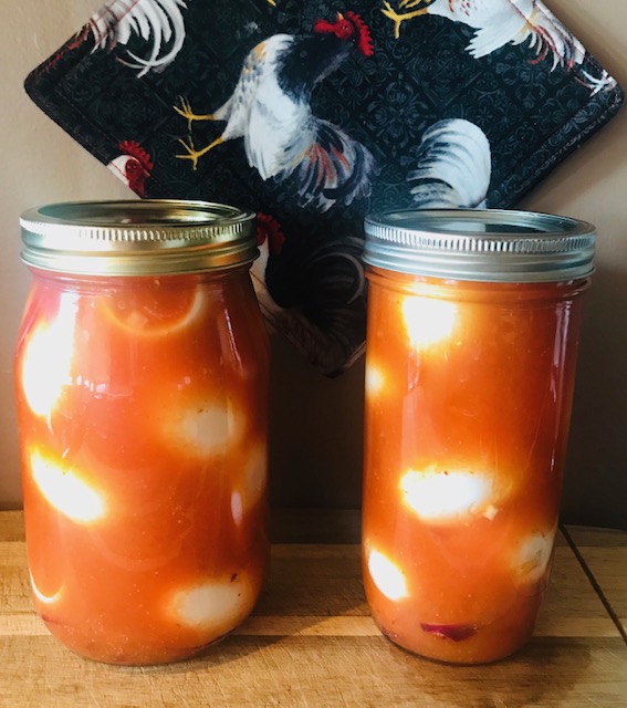 Erin’s Cajun Pickled Eggs thepolestarpost