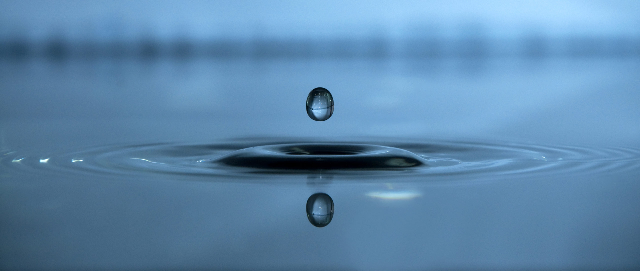 The Entire Ocean in a Drop The Pollination Project
