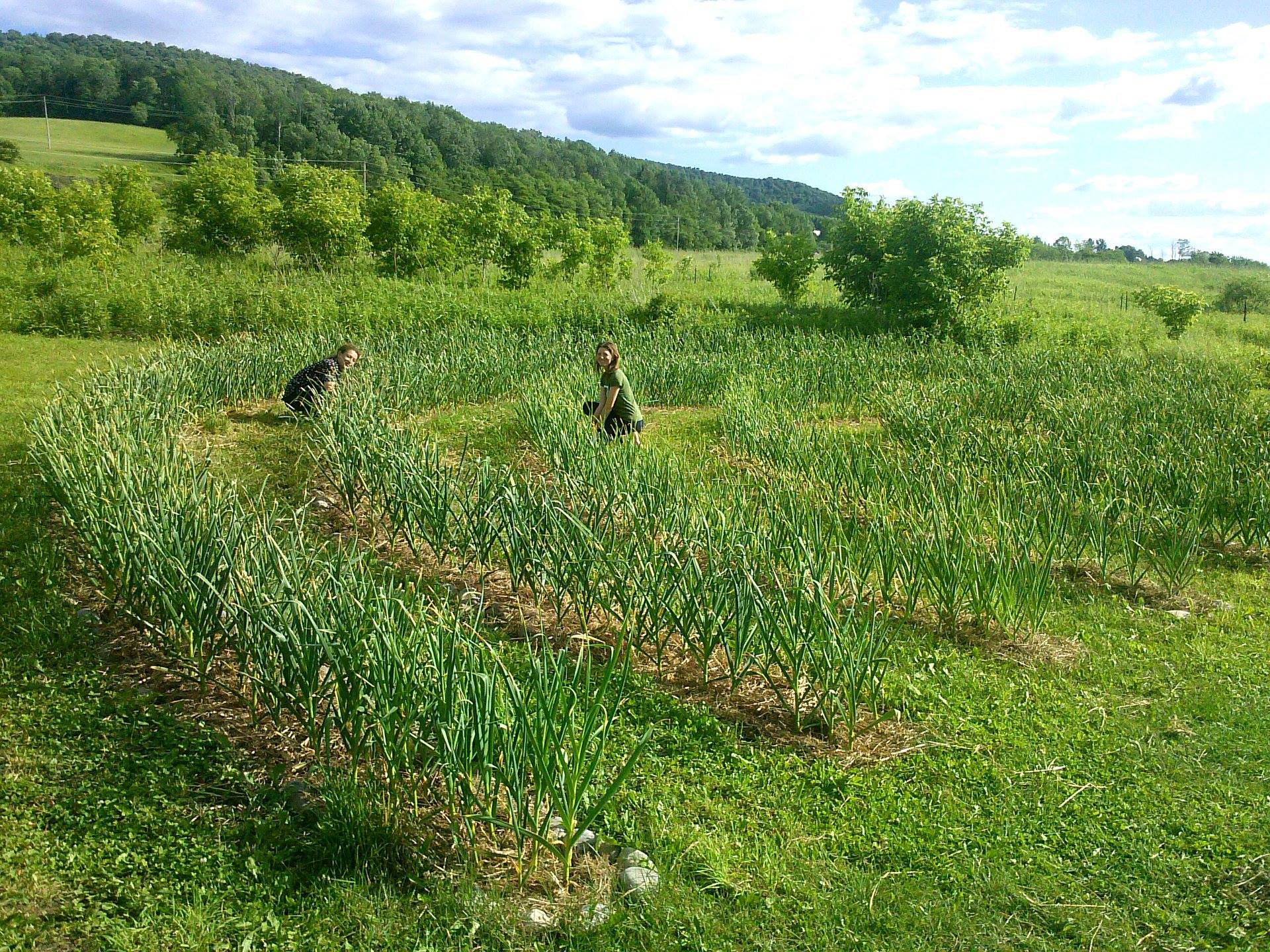 Unadilla Community Farm A new generation of farmers