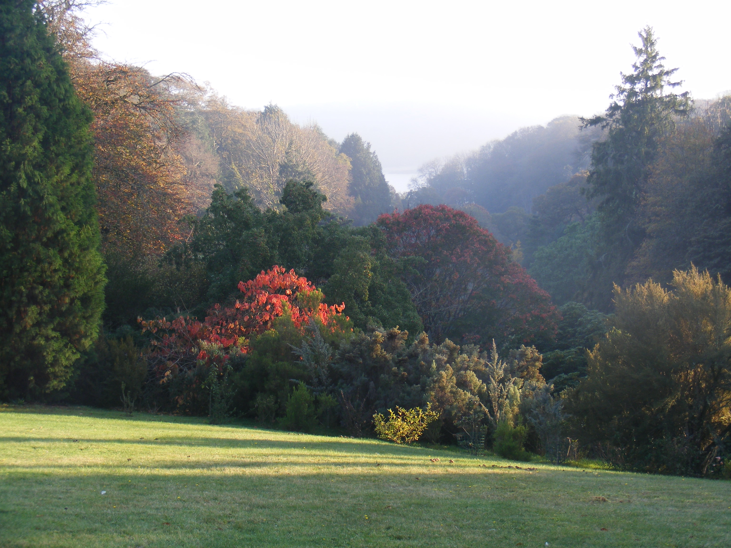 History of the Fox Family Gardens Talks What's On The Poly at